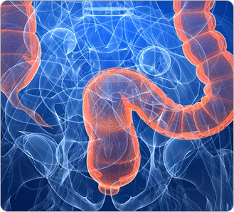 ����Ż �׸�