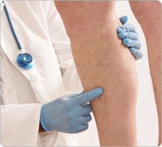 �������Ʒ� �׸�