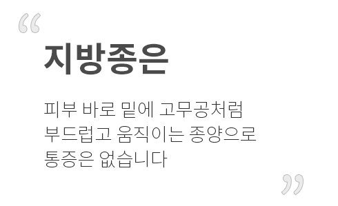 �������� �Ǻ� �ٷ� �ؿ� ������ó�� �ε巴�� �����̴� �������� ������ �����ϴ�.