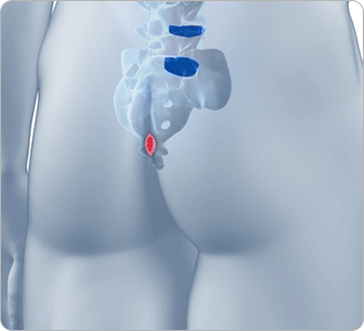 ��ҵ� �׸�